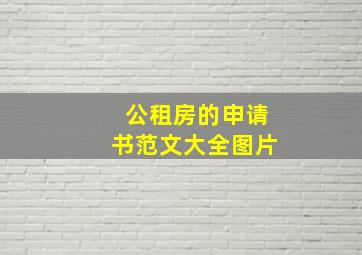 公租房的申请书范文大全图片