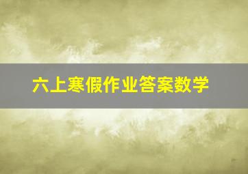 六上寒假作业答案数学