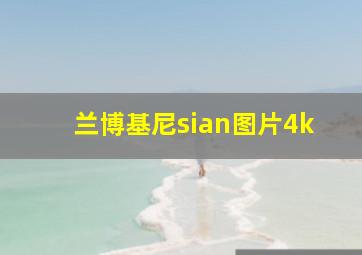 兰博基尼sian图片4k