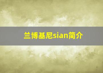 兰博基尼sian简介