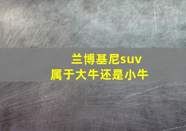 兰博基尼suv属于大牛还是小牛