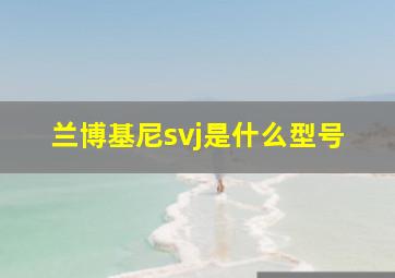 兰博基尼svj是什么型号