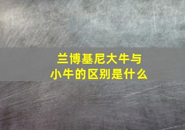 兰博基尼大牛与小牛的区别是什么