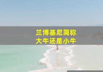 兰博基尼简称大牛还是小牛