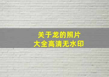 关于龙的照片大全高清无水印