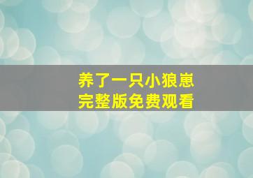 养了一只小狼崽完整版免费观看