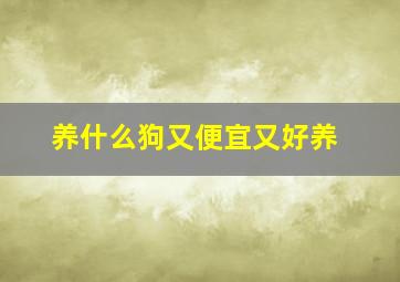 养什么狗又便宜又好养