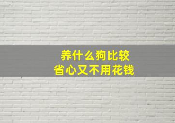 养什么狗比较省心又不用花钱