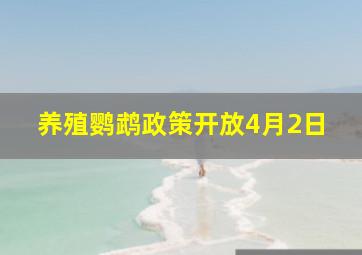 养殖鹦鹉政策开放4月2日