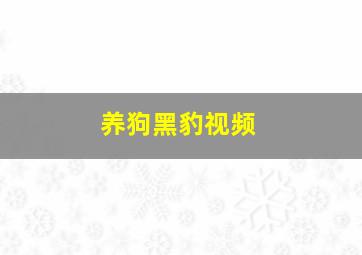 养狗黑豹视频