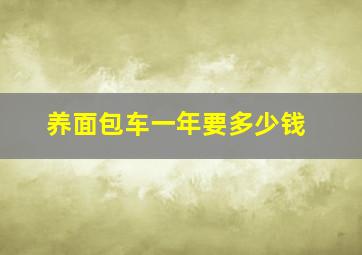 养面包车一年要多少钱