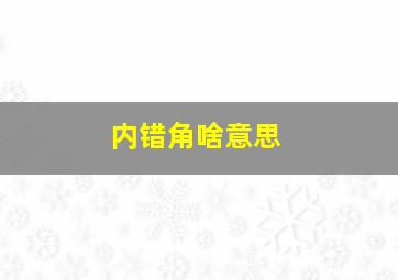 内错角啥意思