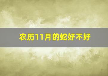 农历11月的蛇好不好