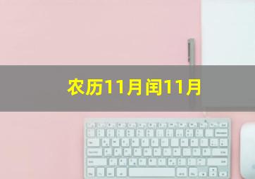 农历11月闰11月