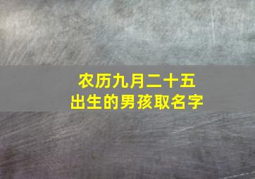 农历九月二十五出生的男孩取名字