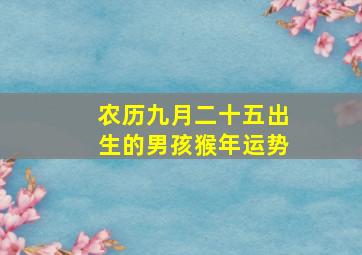 农历九月二十五出生的男孩猴年运势