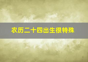 农历二十四出生很特殊