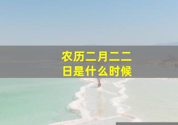 农历二月二二日是什么时候