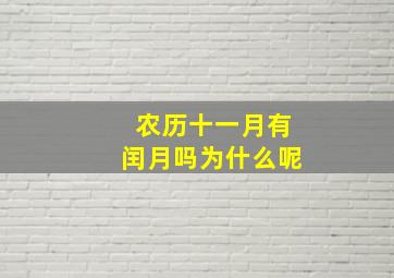 农历十一月有闰月吗为什么呢