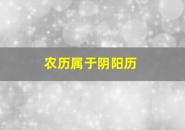 农历属于阴阳历