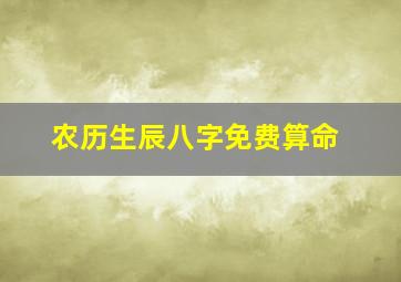 农历生辰八字免费算命