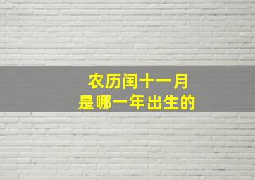 农历闰十一月是哪一年出生的