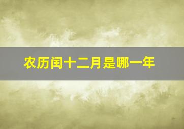 农历闰十二月是哪一年