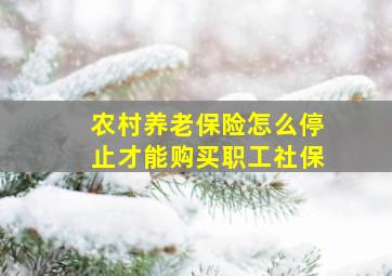 农村养老保险怎么停止才能购买职工社保