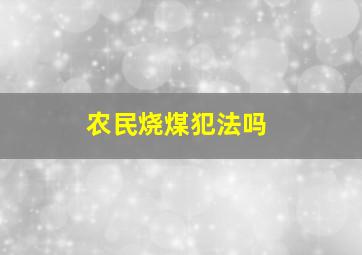 农民烧煤犯法吗