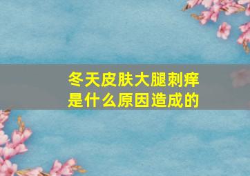 冬天皮肤大腿刺痒是什么原因造成的