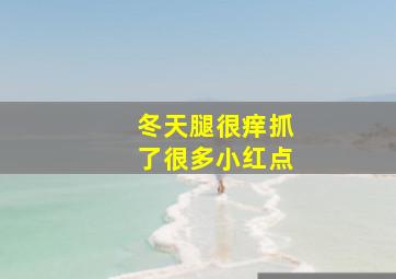 冬天腿很痒抓了很多小红点