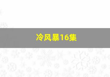 冷风暴16集