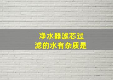 净水器滤芯过滤的水有杂质是