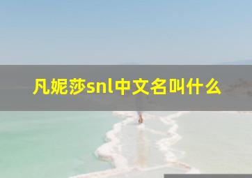 凡妮莎snl中文名叫什么