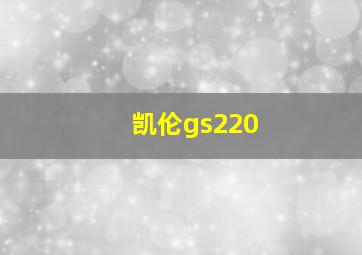 凯伦gs220