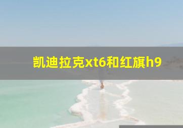 凯迪拉克xt6和红旗h9