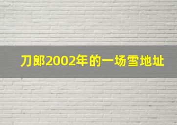 刀郎2002年的一场雪地址