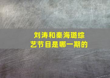 刘涛和秦海璐综艺节目是哪一期的