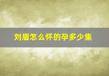 刘眉怎么怀的孕多少集