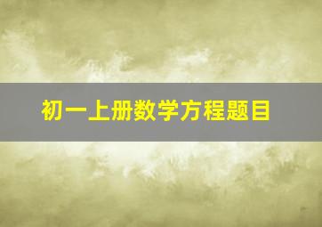 初一上册数学方程题目