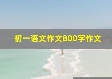 初一语文作文800字作文