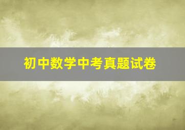 初中数学中考真题试卷