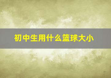 初中生用什么篮球大小