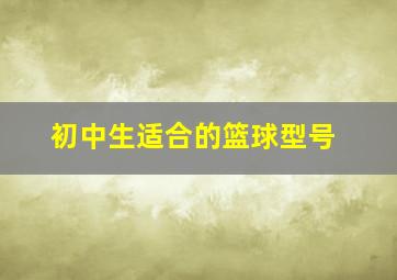 初中生适合的篮球型号