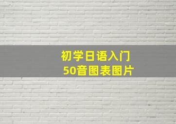 初学日语入门50音图表图片