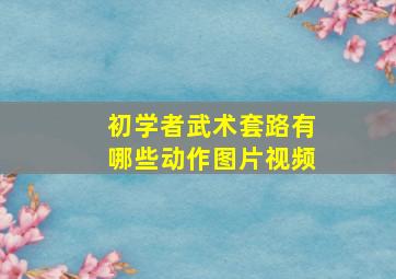 初学者武术套路有哪些动作图片视频