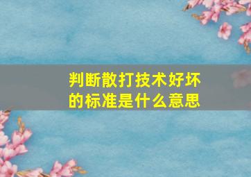 判断散打技术好坏的标准是什么意思