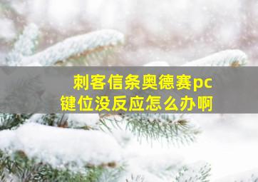 刺客信条奥德赛pc键位没反应怎么办啊