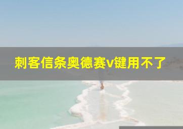 刺客信条奥德赛v键用不了