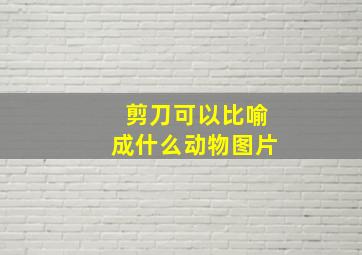 剪刀可以比喻成什么动物图片